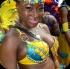 toronto_carnival_parade_2014_pt1-089