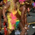 toronto_carnival_parade_2014_pt3-015