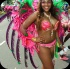 toronto_carnival_parade_2014_pt4-071