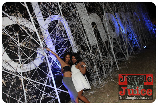 beach_house_carnival_2014-210