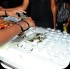 blue_range_cooler_fete_2014-058
