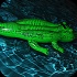 mental_feb26_pt2-137