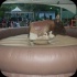 shades_cooler_party_2014-052