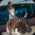 shades_cooler_party_2014-060