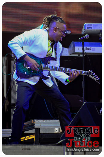 world_music_night_2014-014
