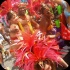 yuma_carnival_tuesday_2014-006