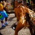 yuma_carnival_tuesday_2014-012