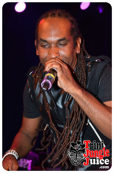xen_2014-064