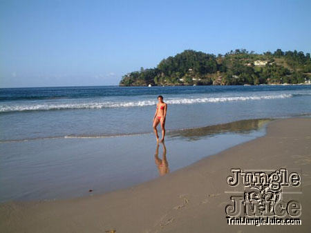 beachlimes03-02