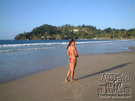 beachlimes03-05